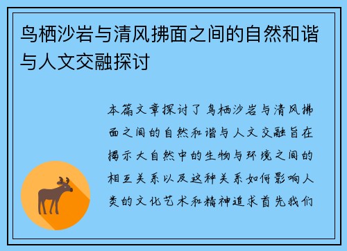 鸟栖沙岩与清风拂面之间的自然和谐与人文交融探讨