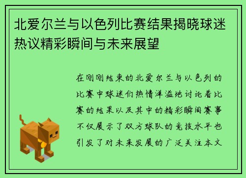北爱尔兰与以色列比赛结果揭晓球迷热议精彩瞬间与未来展望